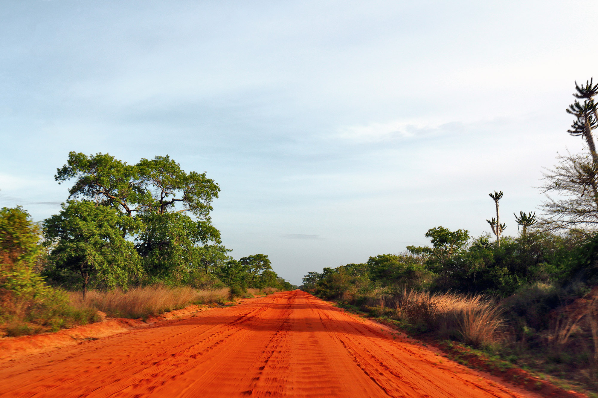 Parque Nacional da Quiçama