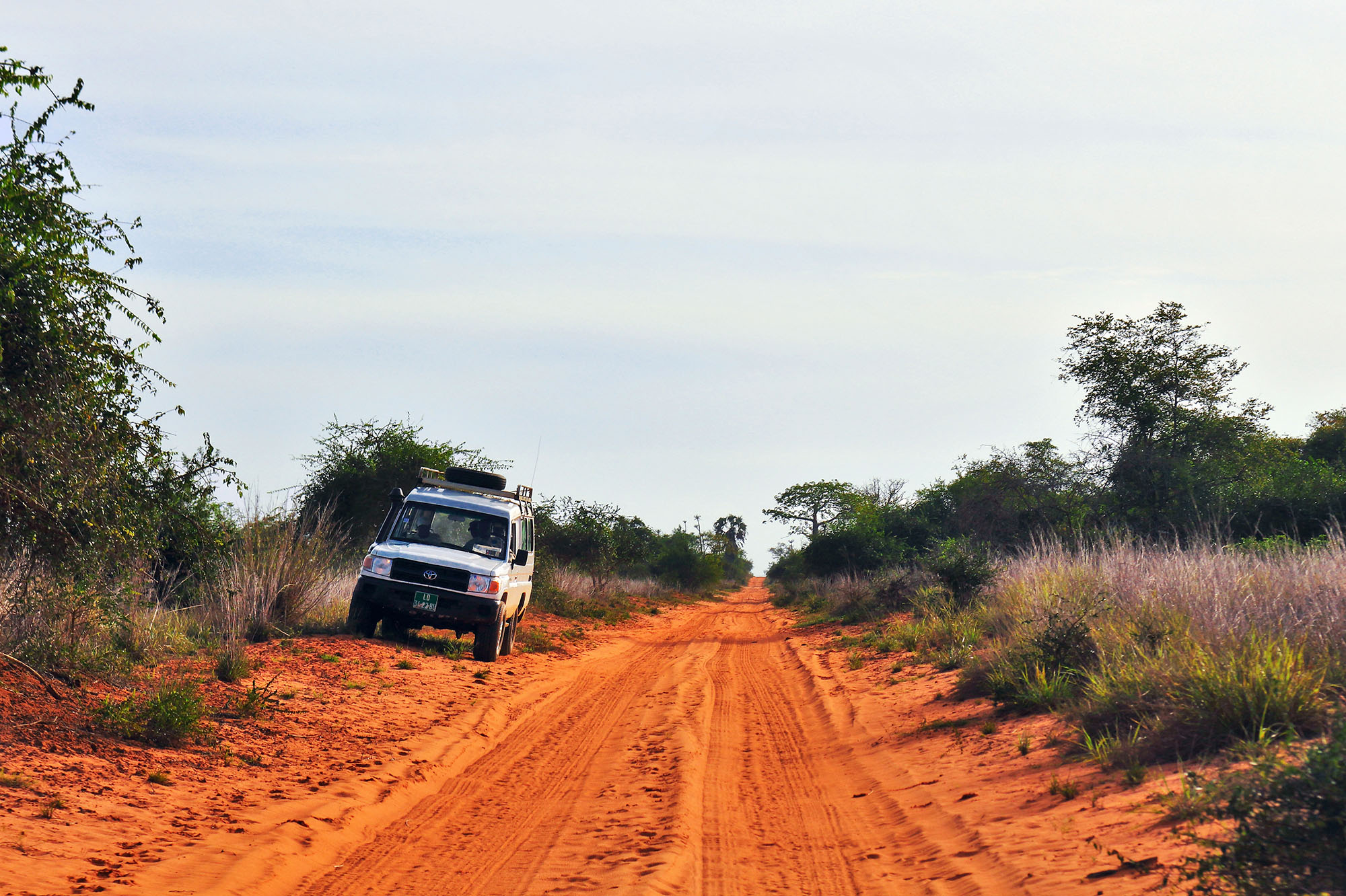 Parque Nacional da Quiçama