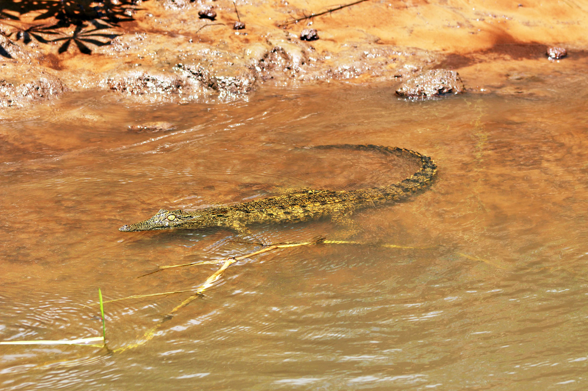 Parque Nacional da Quiçama