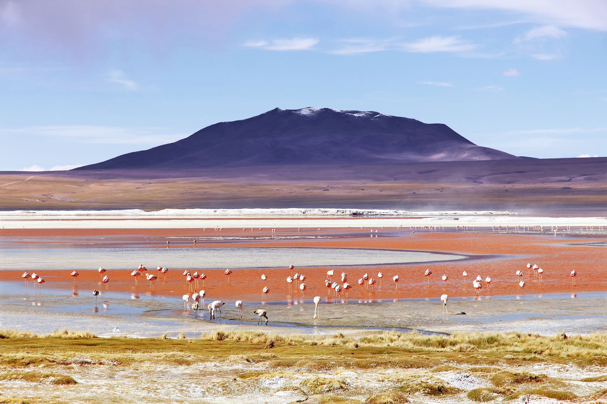 Laguna Colorada