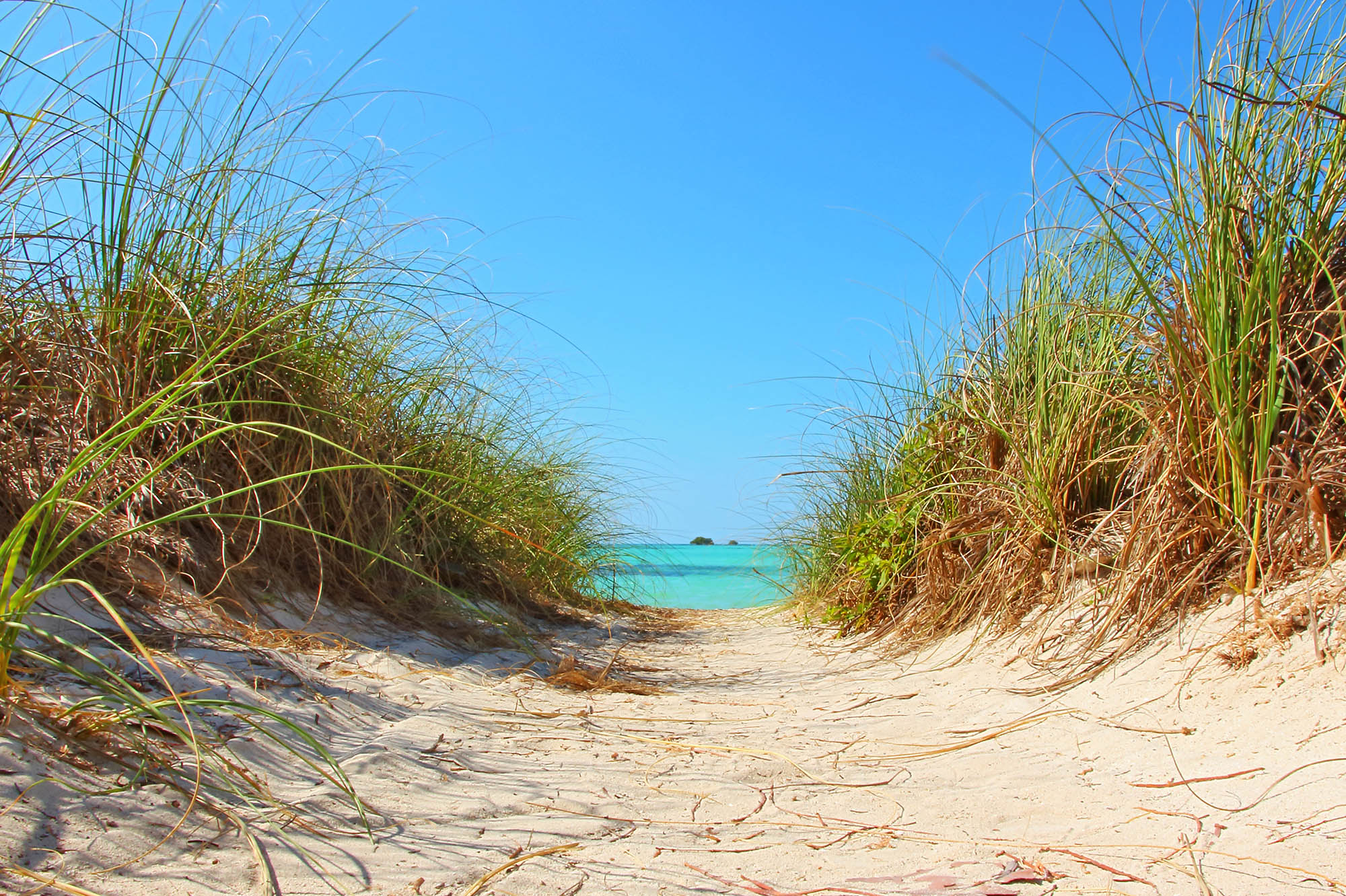 Bahia Honda Florida Keys