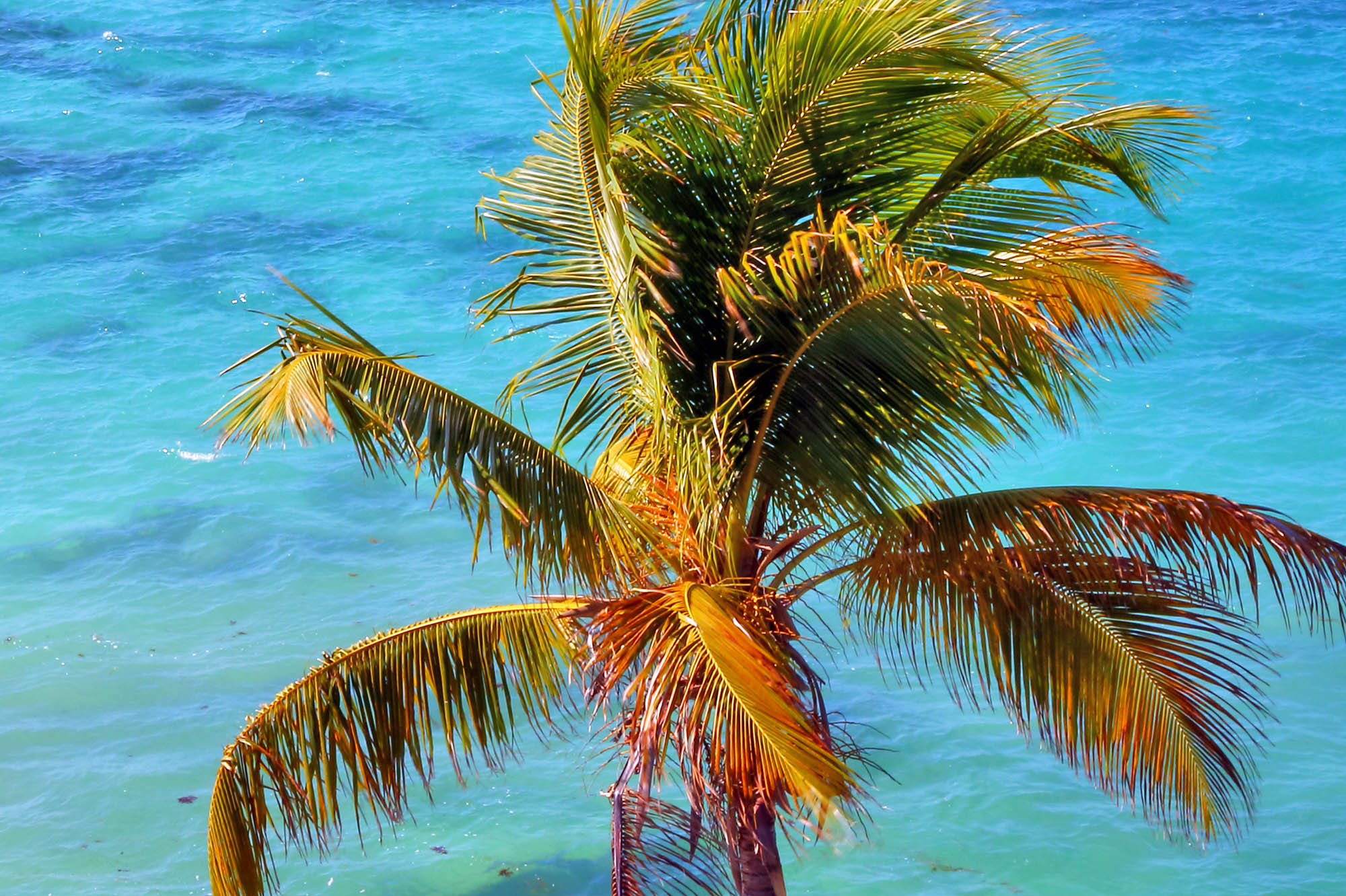 Bahia Honda Florida Keys