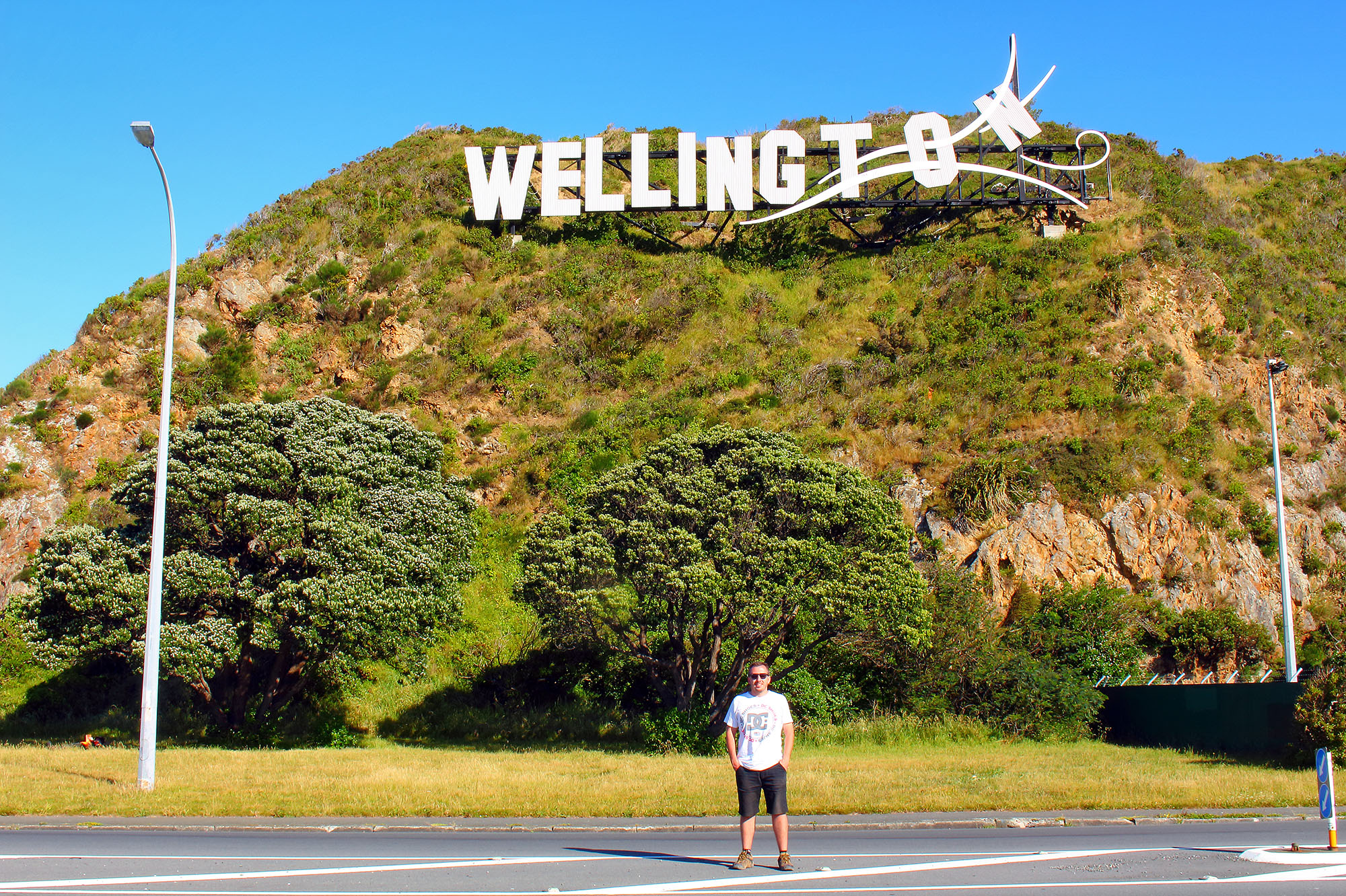 Wellington Sign