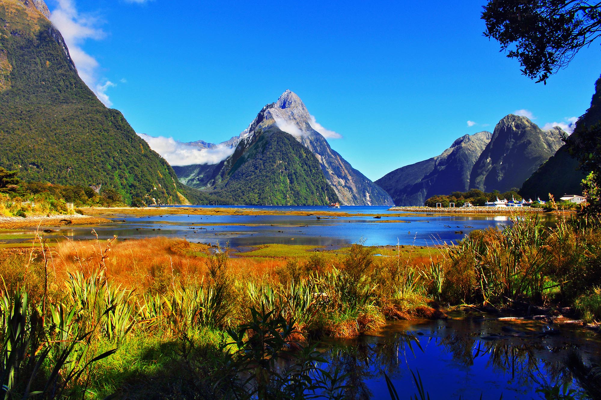 Milford Sound