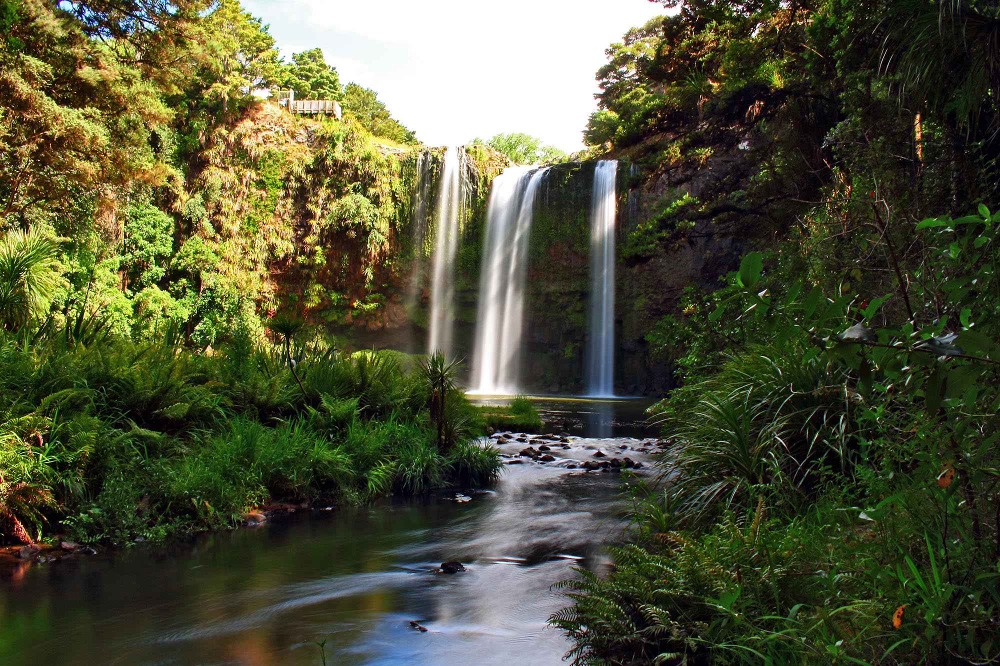 Whangarei Falls